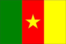 Kamerun sitt flagg